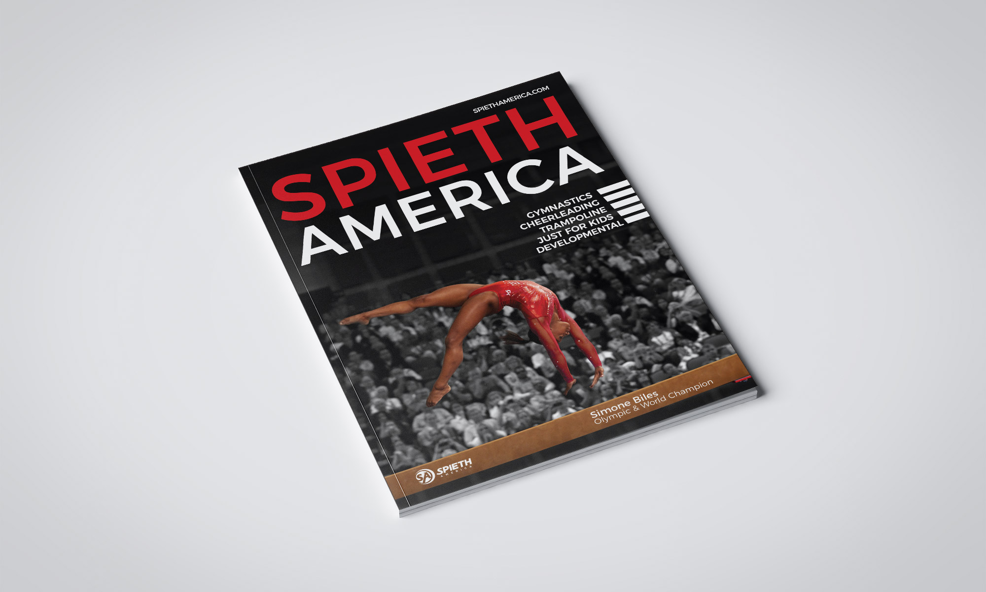 2017 SA Catalog
